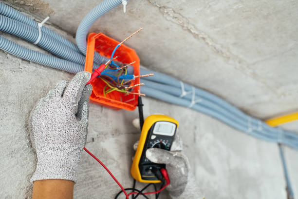 Best Electric Panel Repair  in Lford, MI